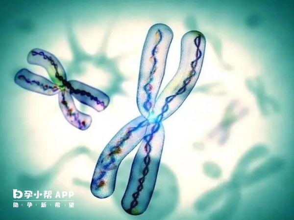 试管婴儿与准生证的法律关系