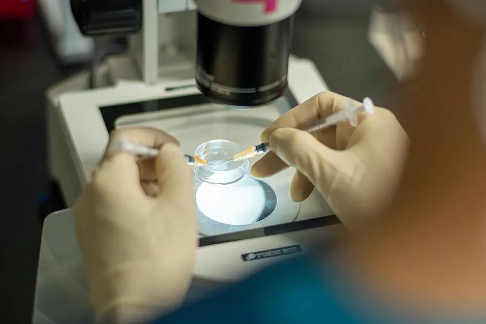 试管婴儿NT检查与孕早期风险评估研究